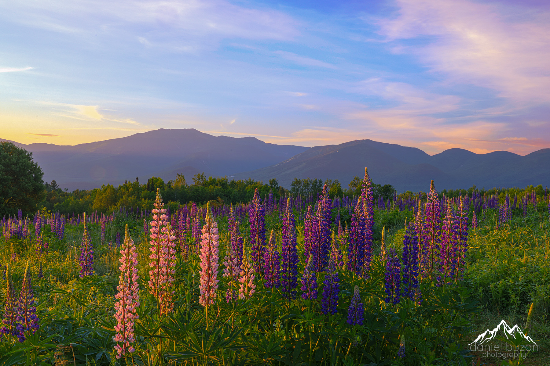 Untitled_HDR-2